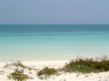 2004 Cuba, Cayo Ensenachos, DSC00852 B_B720